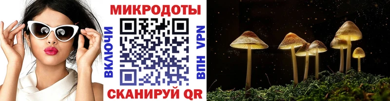 купить наркоту  Лениногорск  Псилоцибиновые грибы Cubensis 