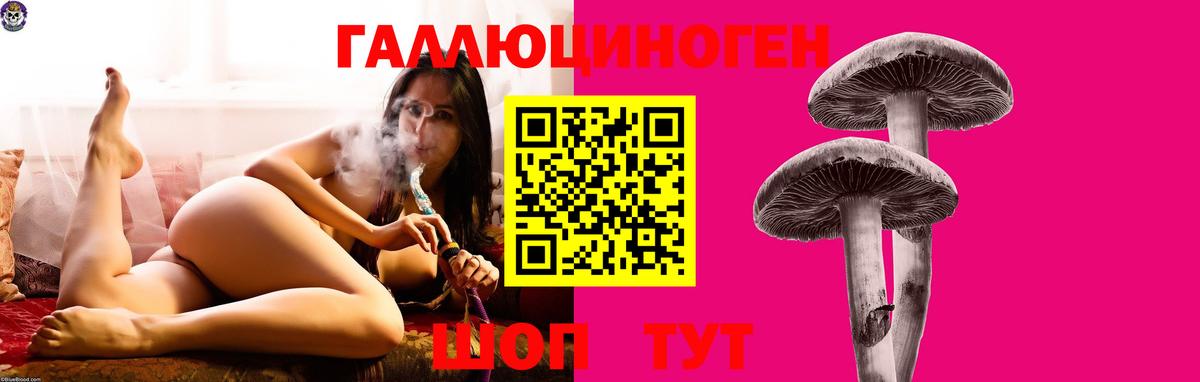 Псилоцибиновые грибы мухоморы Лениногорск